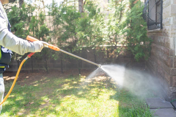 Best Residential Pest Control  in White Oak, MS